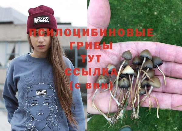таблы Елабуга
