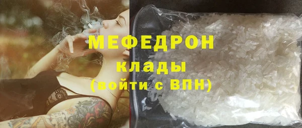 индика Ельня
