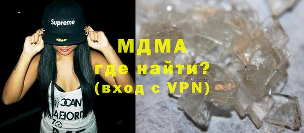 индика Ельня