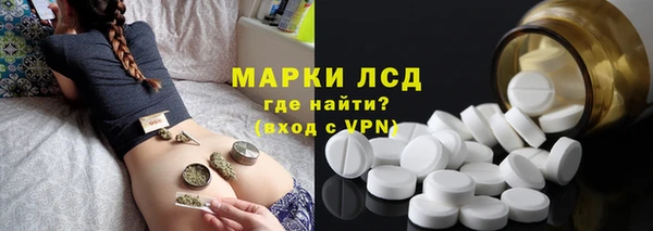 индика Ельня