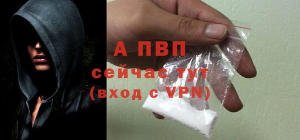 гидра Заводоуковск