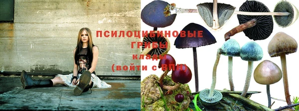 таблы Елабуга