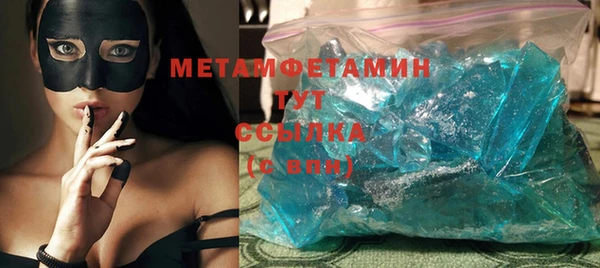 индика Ельня