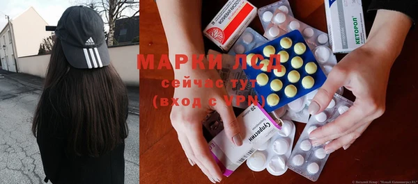 индика Ельня