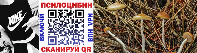 Псилоцибиновые грибы мицелий  Купить  Майский 