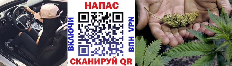 Марихуана ГИДРОПОН  Купить закладки  Майский 